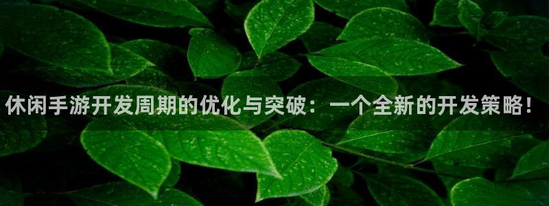 28大神专业版官网