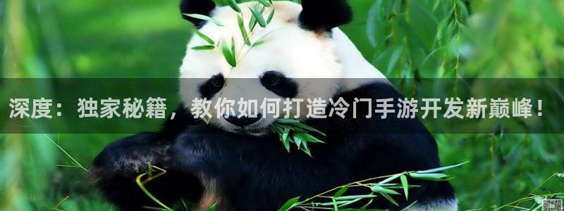 pg国际预测在线预测专业28