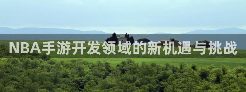 28大神怎么用不了